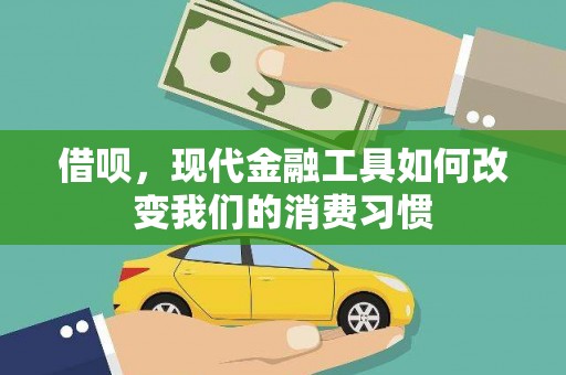 莿桐借呗，现代金融工具如何改变我们的消费习惯