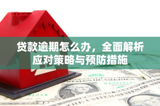 莿桐贷款逾期怎么办，全面解析应对策略与预防措施