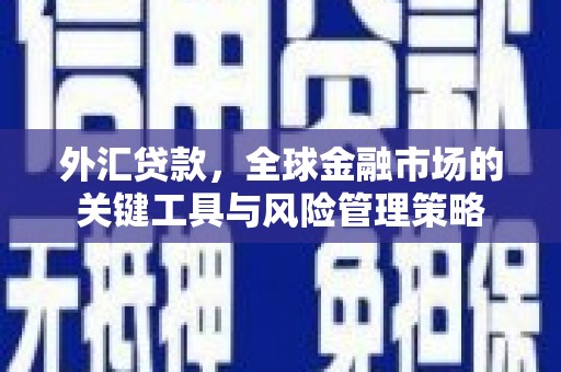莿桐外汇贷款，全球金融市场的关键工具与风险管理策略