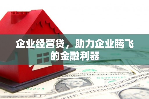 莿桐企业经营贷，助力企业腾飞的金融利器