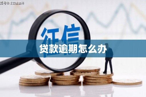 莿桐贷款逾期怎么办