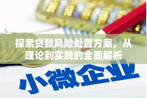 莿桐探索贷款风险处置方案，从理论到实践的全面解析