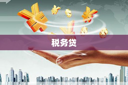 莿桐税务贷