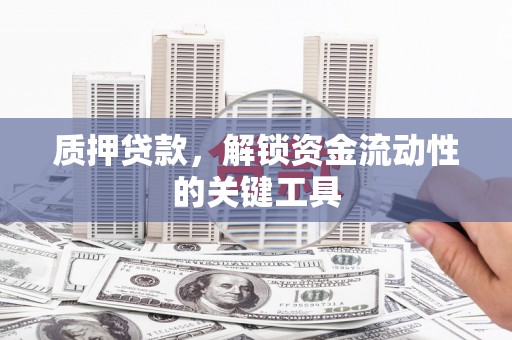 莿桐质押贷款，解锁资金流动性的关键工具