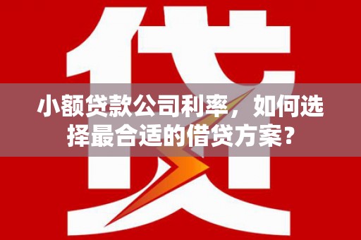 莿桐小额贷款公司利率，如何选择最合适的借贷方案？