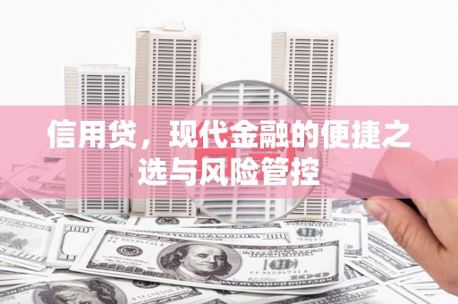 莿桐信用贷，现代金融的便捷之选与风险管控