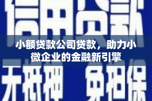 莿桐小额贷款公司贷款，助力小微企业的金融新引擎