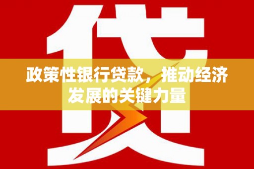 莿桐政策性银行贷款，推动经济发展的关键力量
