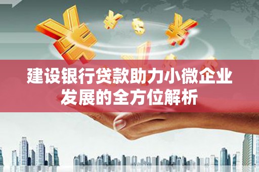 莿桐建设银行贷款助力小微企业发展的全方位解析