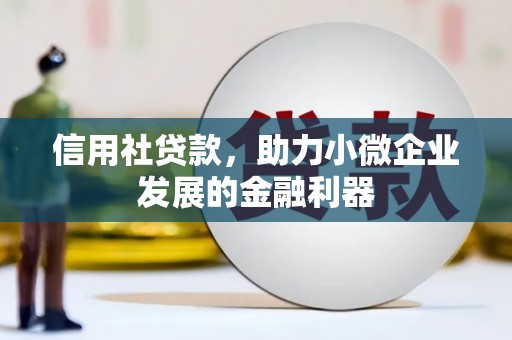 莿桐信用社贷款，助力小微企业发展的金融利器