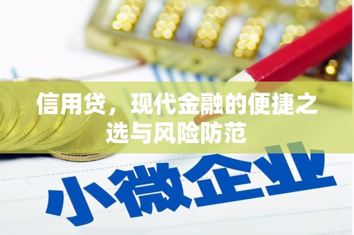 莿桐信用贷，现代金融的便捷之选与风险防范