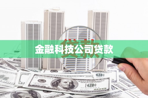 莿桐金融科技公司贷款