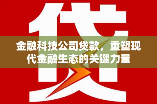 莿桐金融科技公司贷款，重塑现代金融生态的关键力量