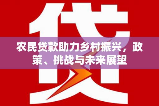 莿桐农民贷款助力乡村振兴，政策、挑战与未来展望