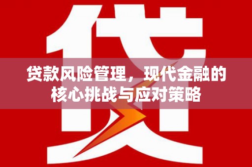 莿桐贷款风险管理，现代金融的核心挑战与应对策略
