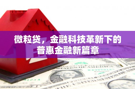 莿桐微粒贷，金融科技革新下的普惠金融新篇章
