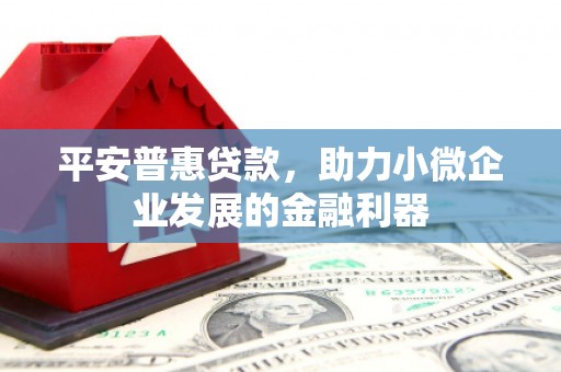 莿桐平安普惠贷款，助力小微企业发展的金融利器