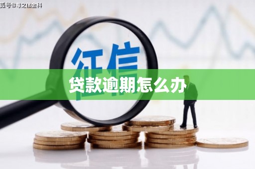 莿桐贷款逾期怎么办