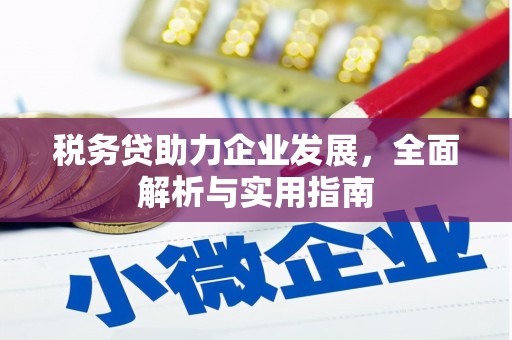 莿桐税务贷助力企业发展，全面解析与实用指南