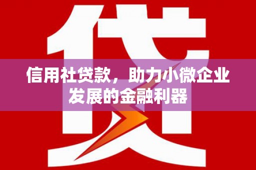 莿桐信用社贷款，助力小微企业发展的金融利器