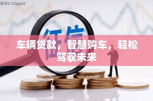 莿桐车辆贷款，智慧购车，轻松驾驭未来