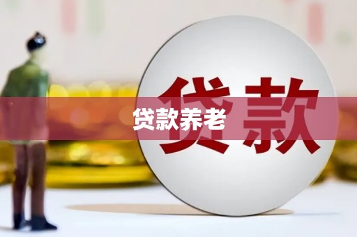 莿桐贷款养老