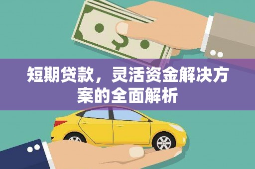 莿桐短期贷款，灵活资金解决方案的全面解析
