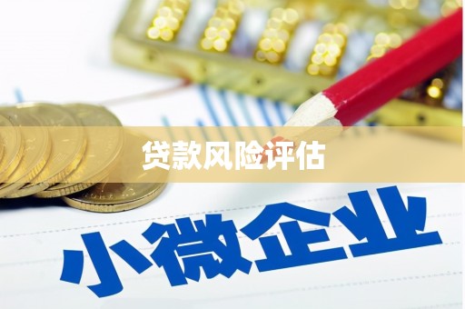 莿桐贷款风险评估
