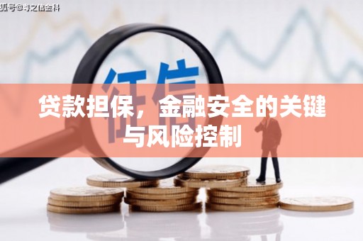 莿桐贷款担保，金融安全的关键与风险控制