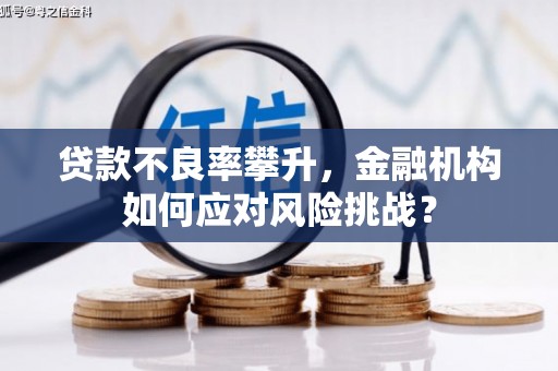 莿桐贷款不良率攀升，金融机构如何应对风险挑战？