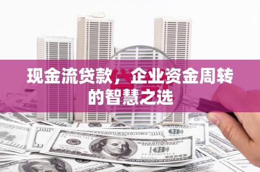 莿桐现金流贷款，企业资金周转的智慧之选