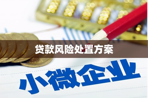 莿桐贷款风险处置方案