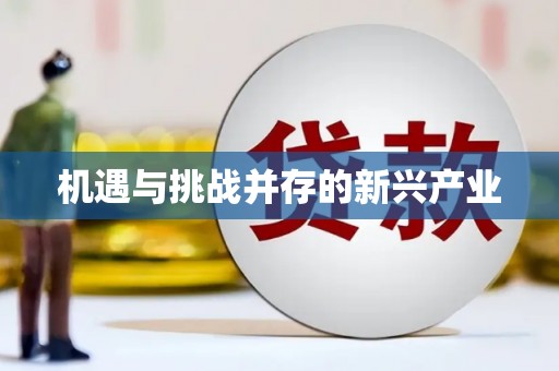 莿桐机遇与挑战并存的新兴产业