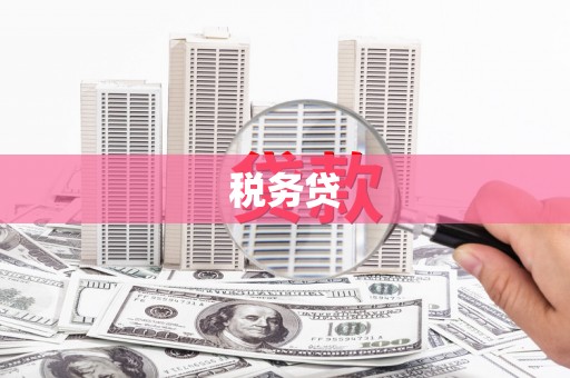 莿桐税务贷