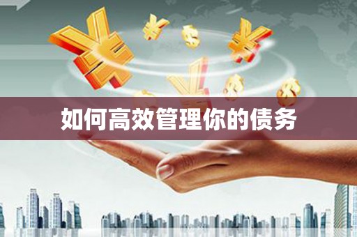 莿桐如何高效管理你的债务