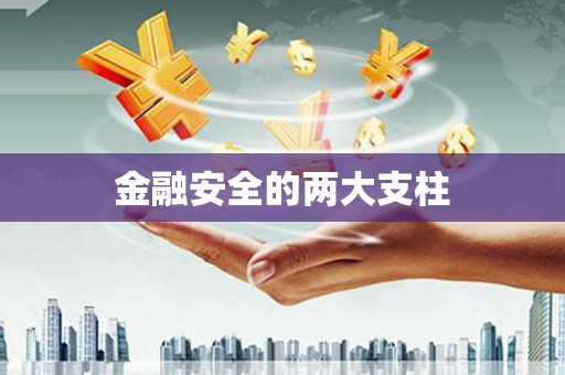 莿桐金融安全的两大支柱