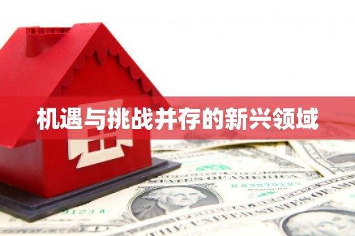 莿桐机遇与挑战并存的新兴领域