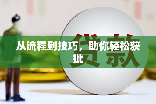 莿桐从流程到技巧，助你轻松获批