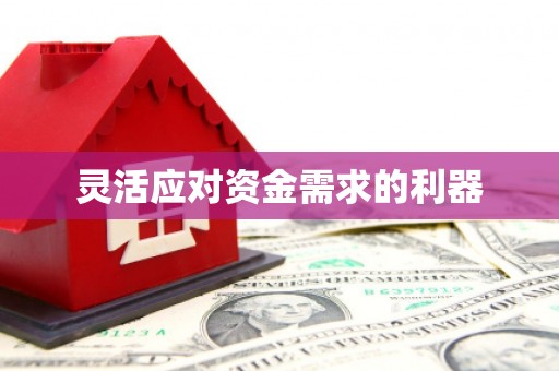 莿桐灵活应对资金需求的利器