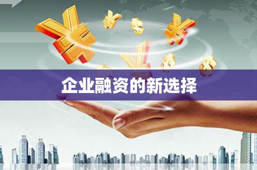莿桐企业融资的新选择