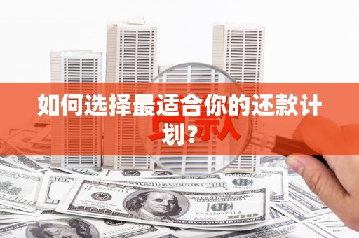 莿桐如何选择最适合你的还款计划？