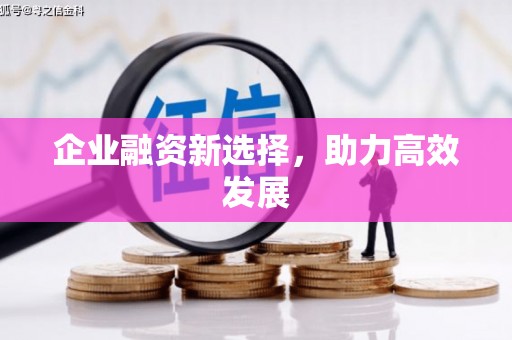 莿桐企业融资新选择，助力高效发展