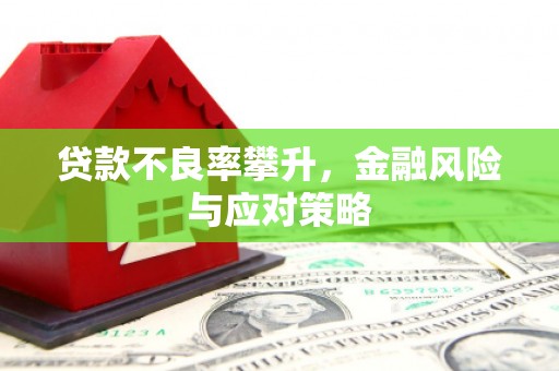 莿桐贷款不良率攀升，金融风险与应对策略